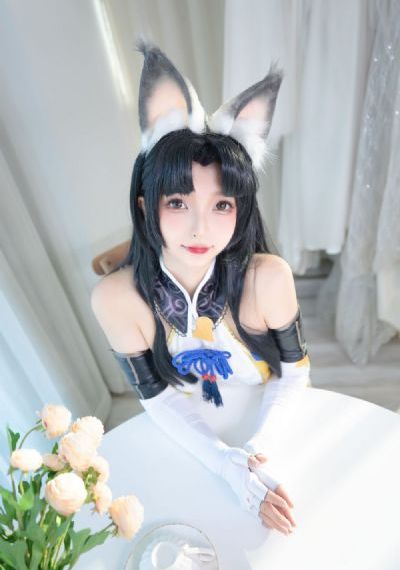 别惹白鸽