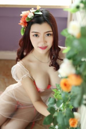 蜜蜂总动员