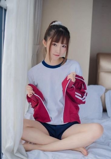 哈里斯