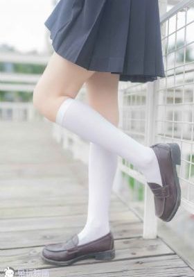 番茄视频电影电视剧