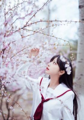 白月梵星电视剧免费观看高清